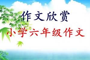 [PK旅游]关于朋友的构成：我有一个特殊的朋友_700字