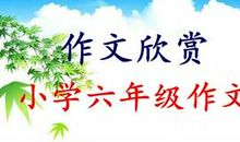 [PK赛]关于朋友的作文：我有一位特殊的朋友_700字