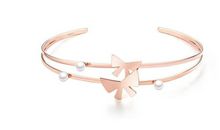 蝴蝶的自白_700字