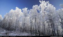 关于冬景的作文_450字