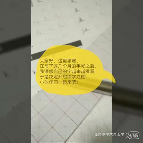 Si Jun _100字