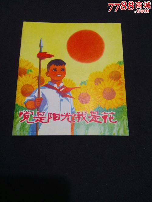 派对是阳光，我是一朵花_800字