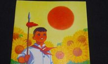 党是阳光我是花_800字