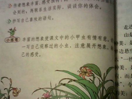 我和英语课程_450字