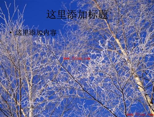美丽的冬季视图_500字
