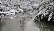 江南的雪_1000字