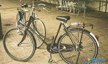 学骑自行车_200字