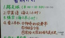 我的暑假计划_200字