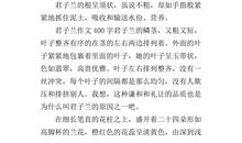 三年级状物作文：有趣的鸡_300字