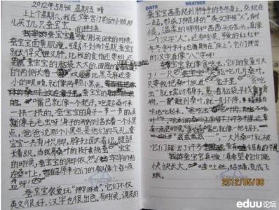 丝绸蚕宝宝_300字