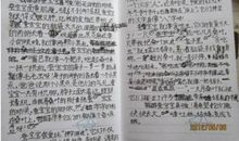 蚕宝宝_300字