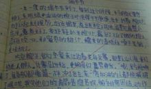 高二叙事作文：热闹的端午节_800字