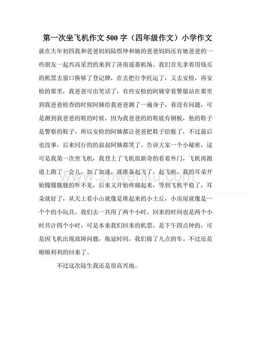 高中叙事成分：第一架飞行_650字