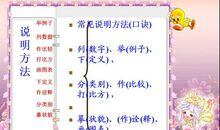 高三说明文：过年的鞭炮_1200字