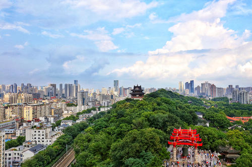 高三指示：黄色起重机塔_1200字