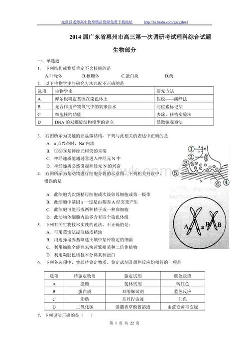 高三指示：吹风机的谜团_1500字