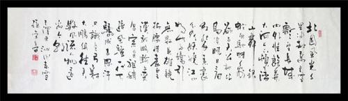 诗歌的魅力_750字