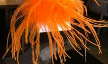 冬天的气质_150字