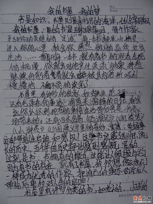 二年级叙事成分：我的梦想_250字