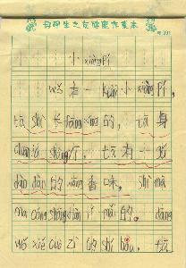 二年级叙事组成：我爱我的家人_250字