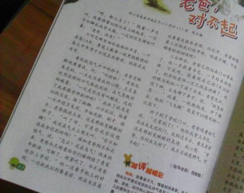 二年级叙事成分：礼品花_250字