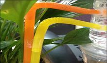 二年级叙事作文：自动浇水器_250字