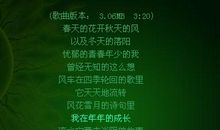 致我最亲爱的笨蛋_150字