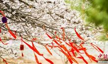 那一片落叶的思念——寄胤祥_900字