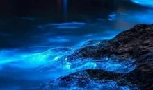 水蓝色的眼泪_900字