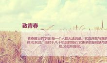 破碎即完美_800字