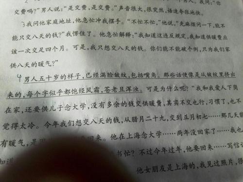 描述蓝莓_750字的句子