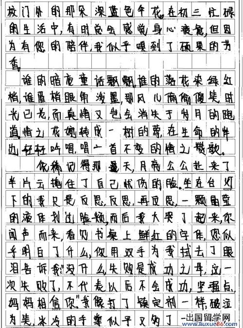 中学入学考试充满了英语成分日记，描述了今天的经验