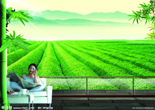 描述舒适生活的句子_3000字