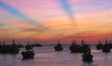 早晨的宁静_500字