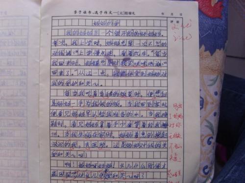 我爱你，妈妈_400字