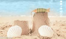 奇怪的天气_200字