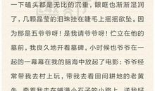 关于完美的作文：完美种子_650字