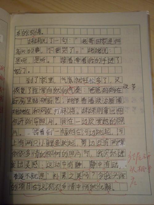 关于完美的成分：完美的妹妹_1000字