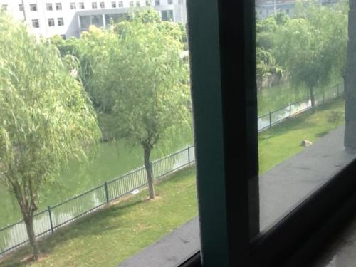 窗外的美丽_450字