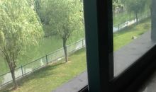 窗外的美丽_450字