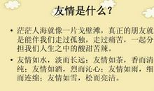 文明礼仪 _700字