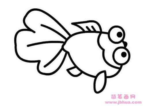 可爱的小金鱼_150字