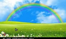 坎坷人生路，请坚强_2000字