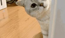 最好的朋友 第一段_450字