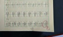 第一次无作业日_250字