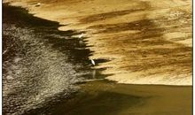 前生，来世_800字