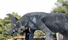 来不及挥别_1200字