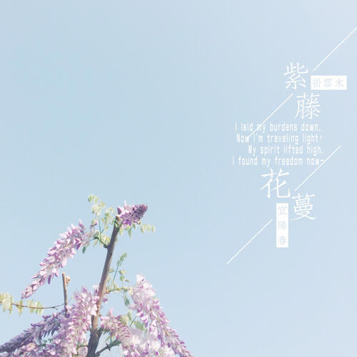 最美丽的语言_900字