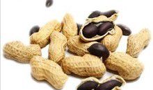 美丽的花生玩具_350字