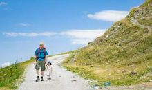 从那天起算夏天_1200字